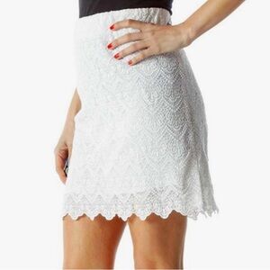 J.Crew White Eyelet Lace Skirt Cotton Nylon Polyester Lined Scallop Hem, 14
